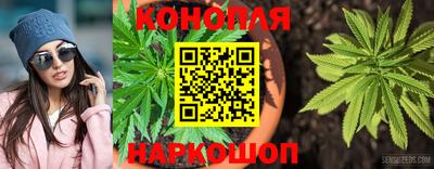 мяу мяу мука Бугуруслан