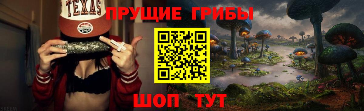 Ревда  дарнет шоп  Вход с VPN  Галлюциногенные грибы Psilocybe 